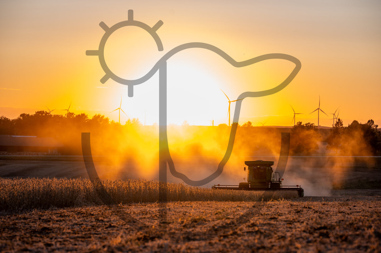 Bean Harvest - Farm Print