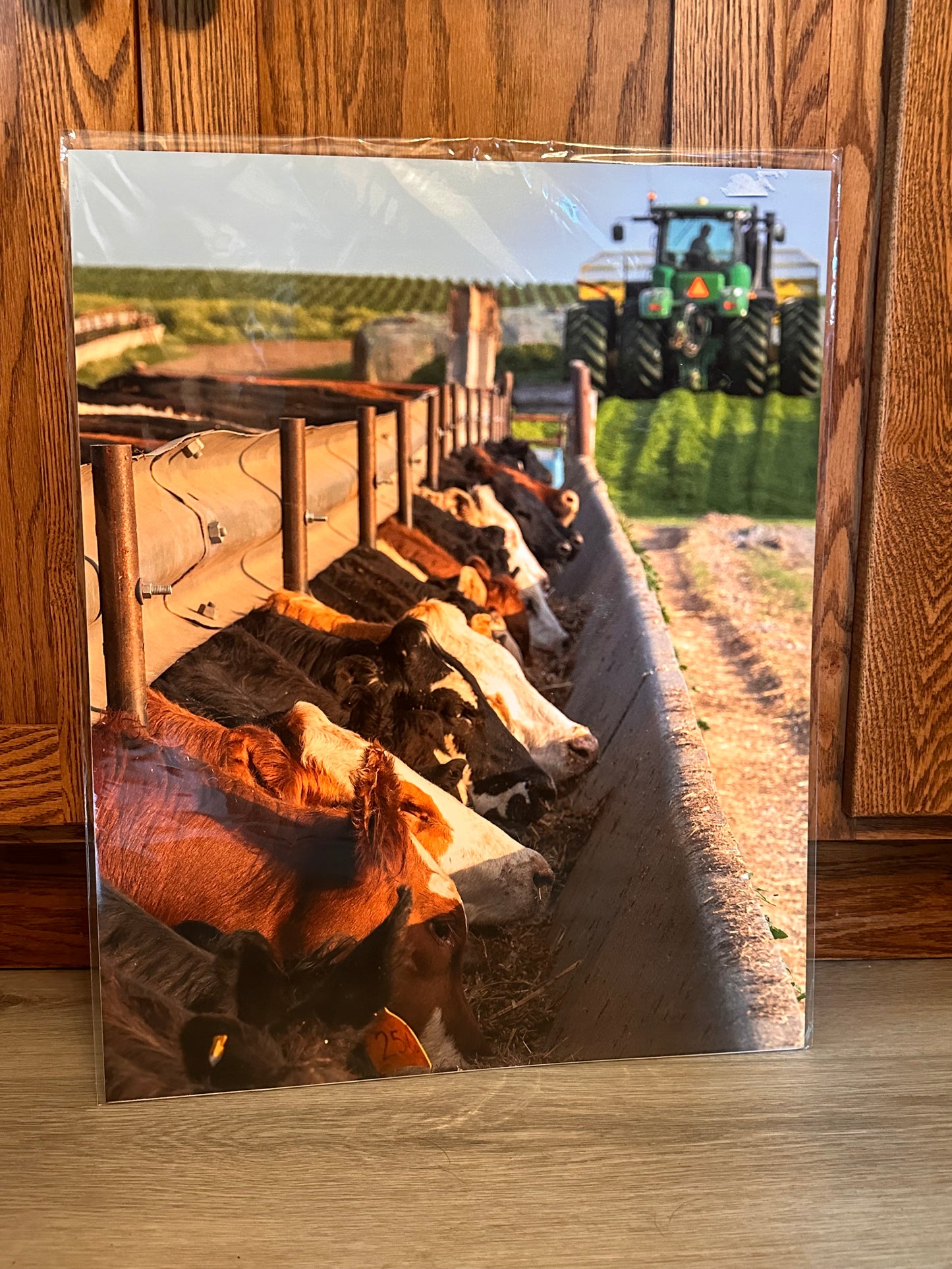16x20 Discounted Prints