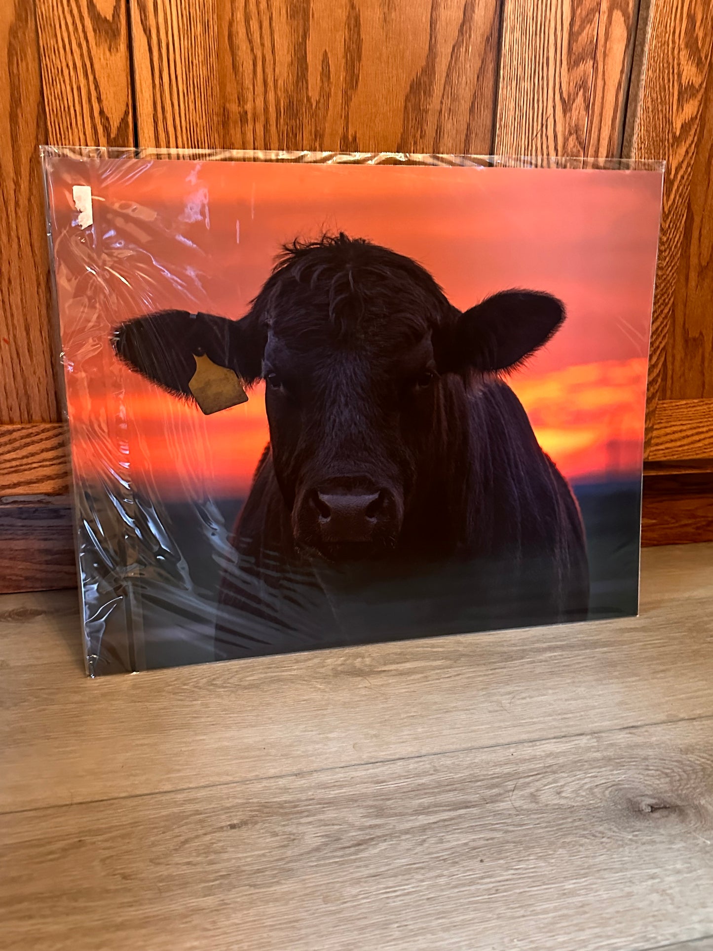 16x20 Discounted Prints