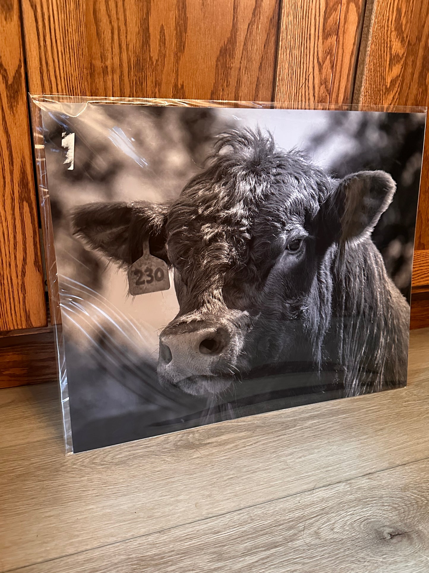 16x20 Discounted Prints
