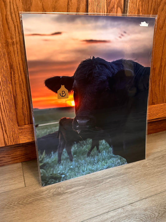 16x20 Discounted Prints