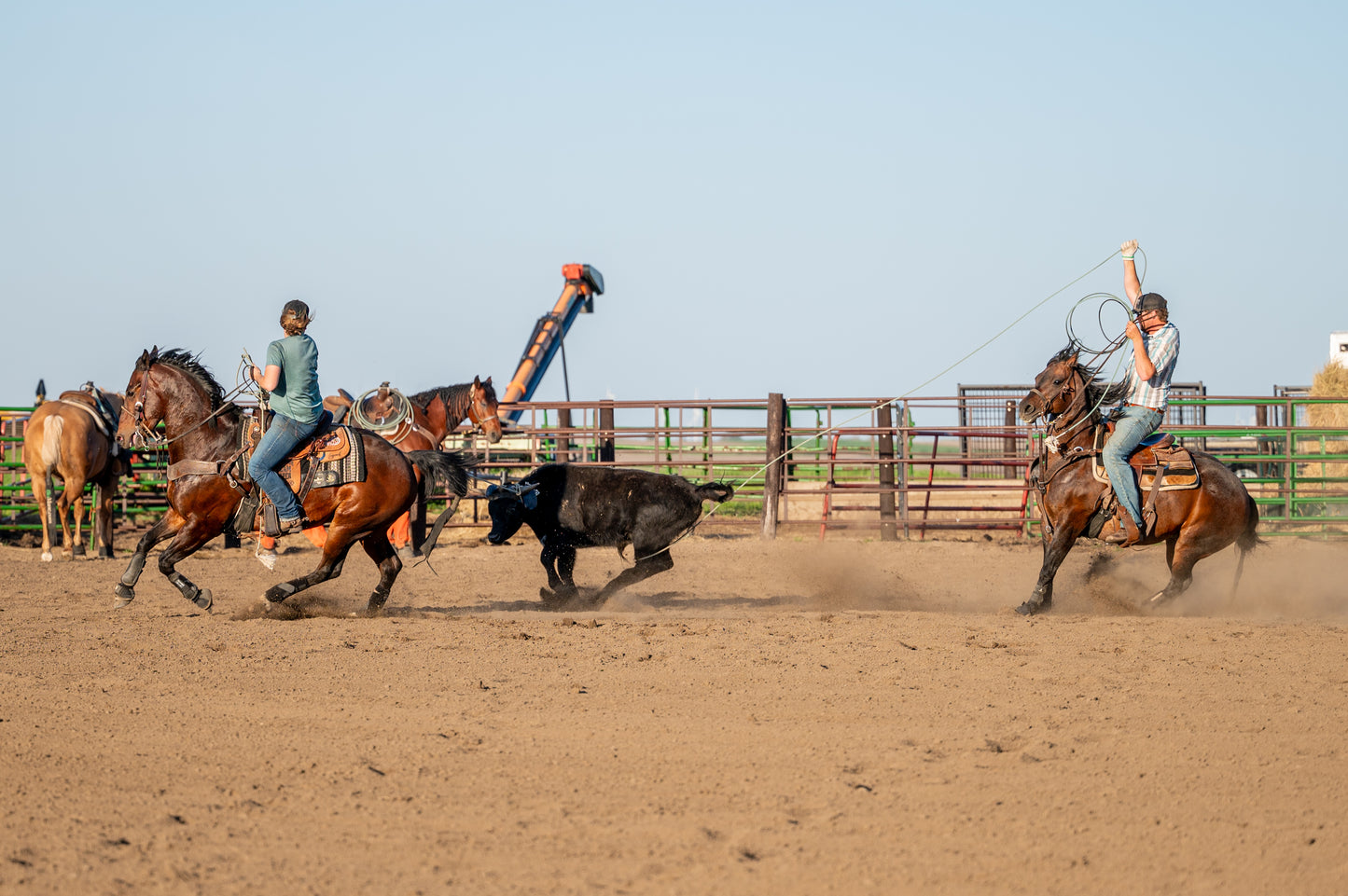 Logo/Brand Digitization From Photo