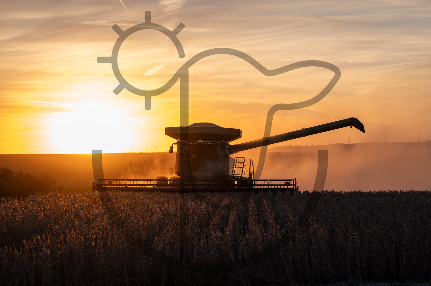 Bean Harvest 2 - Farm Print