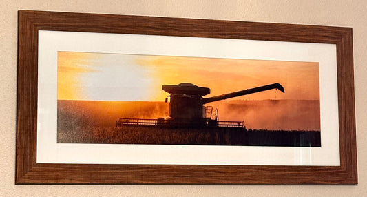 Bean Harvest Sun Set
